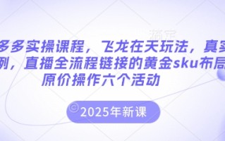 拼多多实操课程，飞龙在天玩法，真实案例，直播全流程链接的黄金sku布局原价操作六个活动
