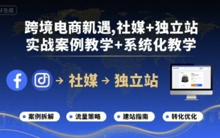 跨境电商新机遇，社媒+独立站，实战案例教学+系统化教学
