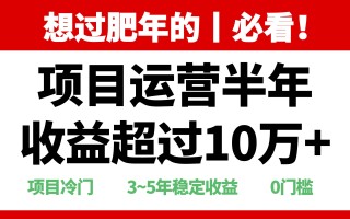 年前过肥年的必看的超冷门项目，半年收益超过10万+，