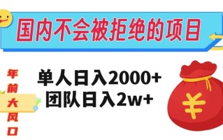 在国内不怕被拒绝的项目，单人日入2000，团队日入20000+【揭秘】