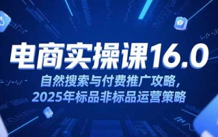 淘宝电商运营课16.0，自然搜索与付费推广攻略，2025年标品非标品运营策略