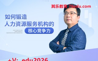 如何锻造人力资源服务机构的核心竞争力（7集） mp4高清无水印视频教程网盘免费下载