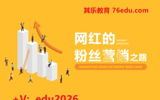 网红的粉丝营销之路（2集） mp4高清无水印视频教程网盘免费下载