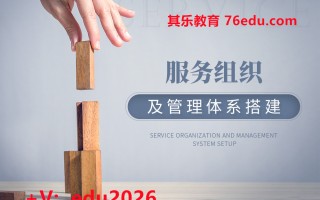 服务组织及管理体系搭建（3集） mp4高清无水印视频教程网盘免费下载