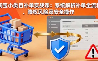 淘宝小类目补单实战课：系统解析补单全流程、降权风险及安全操作
