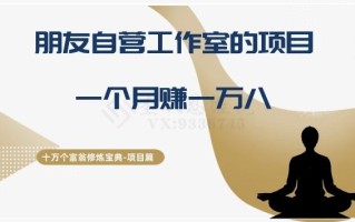 十万个富翁修炼宝典之16.朋友自营工作室的项目，一个月赚一万八