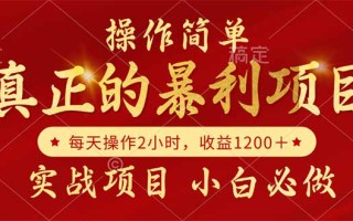真正的暴利项目，操作简单，每天收益1200＋，自己做老板