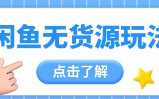 2024闲鱼新玩法，无货源运营新手日赚300+【视频教程】