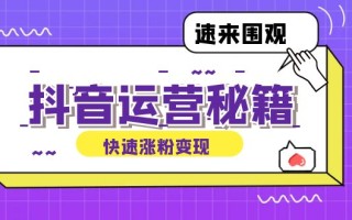 抖音运营涨粉秘籍：从零到一打造盈利抖音号，揭秘账号定位与制作秘籍