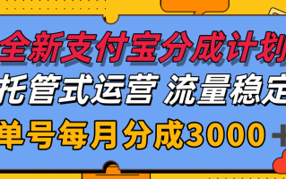 全新支付宝分成代运营，独家技术，收益稳定，单号月入3000＋