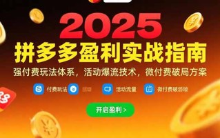 拼多多盈利实战指南，强付费玩法，活动爆流技术，微付费破局方案(更新7月