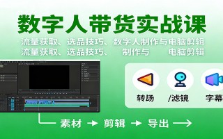 数字人变现实战课：流量获取、选品技巧、数字人制作与电脑剪辑