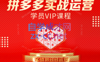 推易电商·拼多多实战运营课(更新2025月)