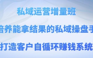 私域运营增量班，培养能拿结果的私域操盘手，打造客户自循环赚钱系统