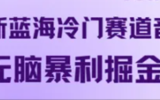 最新蓝海冷门赛道音频，无脑暴利掘金