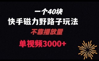 一个40块，快手联合美团磁力新玩法，无视机制野路子玩法，单视频收益4位数【揭秘】