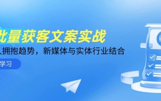 AI批量获客文案实战，普通人拥抱趋势，新媒体与实体行业结合