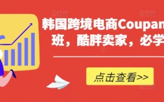 韩国跨境电商Coupang高阶班，酷胖卖家，必学课程