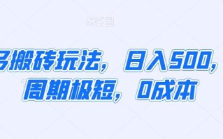 拼多多搬砖玩法，日入500，运营周期极短，0成本