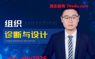 组织诊断与设计（2集） mp4高清无水印视频教程网盘免费下载