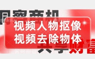 【超强视频处理工具】视频人物抠像+视频去除物体