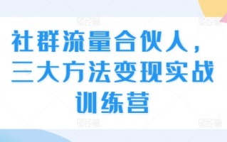 社群流量合伙人，三大方法变现实战训练营