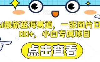 AI最新蓝海赛道，一张图片日入300+，小白专属项目【揭秘】