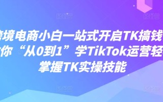 跨境电商小白一站式开启TK搞钱，教你“从0到1”学TikTok运营轻松掌握TK实操技能