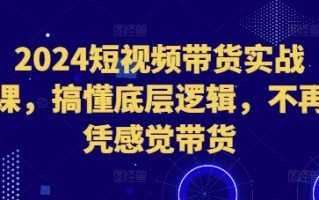 2024短视频带货实战课，搞懂底层逻辑，不再凭感觉带货