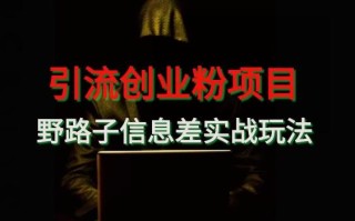 【引流创业粉】野路子信息差玩法实战教学