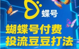 2025蝴蝶号付费投流豆豆打法，助新手快速掌握付费流量撬动自然流的核心玩法