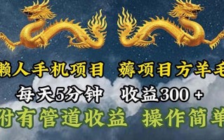 懒人手机项目，每天5分钟，每天收益300+，多种方式可扩大收益！