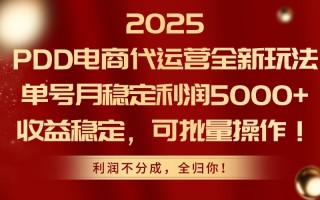 2025PDD电商代运营全新玩法，单号月稳定利润5000+，收益稳定，可批量操作