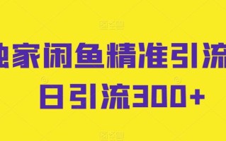 独家闲鱼精准引流，日引流300+【揭秘】