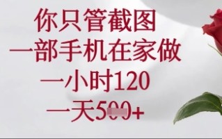 你只管截图，一部手机在家操作，一小时120.一天5张【揭秘】