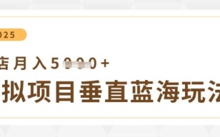 虚拟项目垂直玩法，实现单店月入5k+
