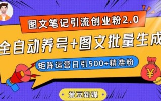 爱豆新媒：全自动养号+图文批量生成，日引500+创业粉（抖音小红书图文笔记2.0）