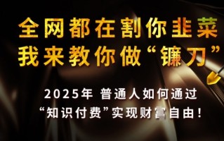 全网都在割你韭菜，我来教你做镰刀，2025普通人如何通过知识付费，实现财F自由【揭秘】