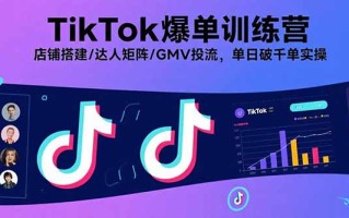TikTok爆单训练营，店铺搭建/达人矩阵/GMV投流，单日破千单实操