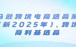 亚马逊跨境电商选品案例(更新2025年4月)，跨境电商利基选品