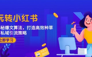 玩转小红书：揭秘爆文算法，打造高效种草与私域引流策略