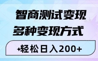 智商测试变现，轻松日入200+，几分钟一个视频，多种变现方式