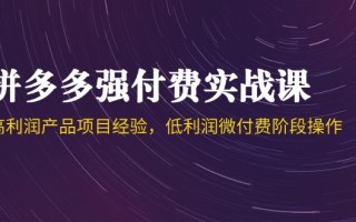 拼多多强付费实战课-44期，高利润产品项目经验，低利润微付费阶段操作