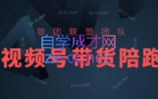 狼团联盟·2024视频号带货