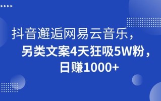 抖音邂逅网易云音乐，另类文案4天狂吸5W粉，日赚1000+【揭秘】
