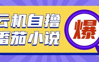 首发云手机自撸小说玩法，10块钱成本可撸200+收益操作简单【揭秘】