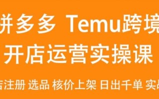 2024Temu最新玩法，Temu跨境开店运营实操课，开店注册/选品/核价上架/日出千单实战课