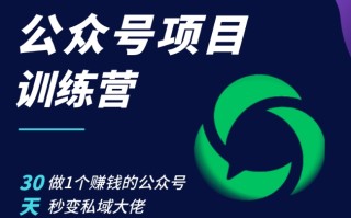 公众号项目训练营，30天做1个赚钱的公众号，秒变私域大佬