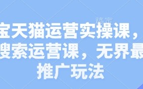 淘宝天猫运营实操课，新品搜索运营课，无界最新推广玩法