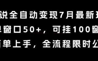 小说全自动变现7月玩法，单窗口50+，可挂100窗口，简单上手，全流程限时公布【揭秘】